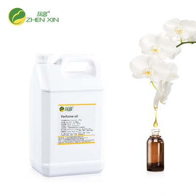 Wholesale Original Perfume Supplier Luxury Perfume Fragrances