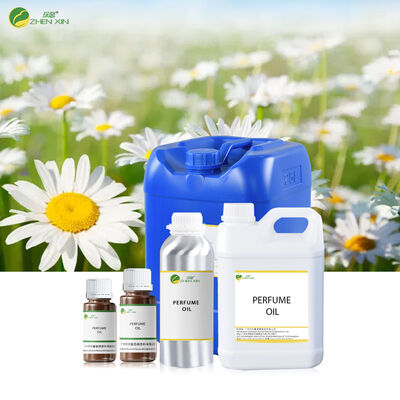 Long Lasting Perfume Oil for Women Arabic Hot Selling Branded Floral Body Fragrance Brand Women Perfume Oil