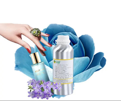 Welcome Designer Branded Perfume Fragrances For Long Lasting Floral Perfume