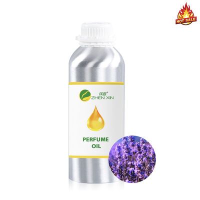 Perfumy oryginały Perfumy do naświetlania ciała Perfumy dla mężczyzn Oryginały Perfumy Perfumy Wholesale Brand Designer Roll on Perfume Oil for Men